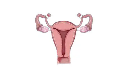 Birth Control tubal ligation at Queens and White Plains, New York clinics